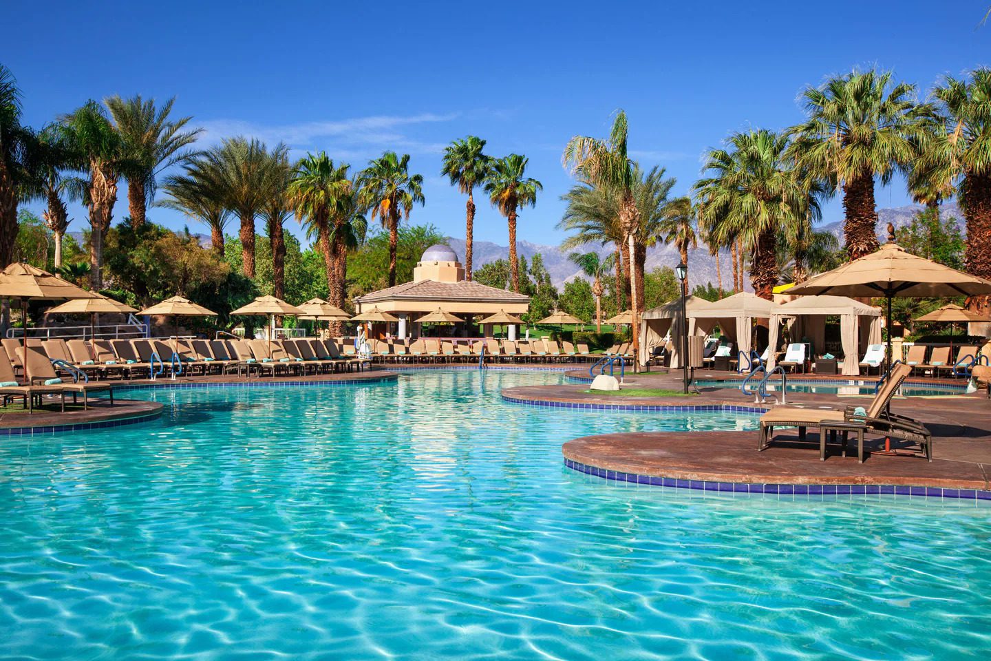Lisa-Longball-Palm-Springs Pool 1